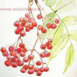 akwarela,obrazek,unikat,roślina,jarzębina - Ilustracje, rysunki, fotografia - Wyposażenie wnętrz