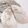 Kolczyki kolczyki,wire-wrapping,muszla biała,eleganckie