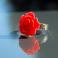 Pierścionki pierścionek z różą,kwiat,pierścionek z koralem