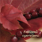 Festiwal czerwieni