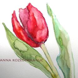 kwiat,tulipan,akwarela,unikat,obrazek - Ilustracje, rysunki, fotografia - Wyposażenie wnętrz